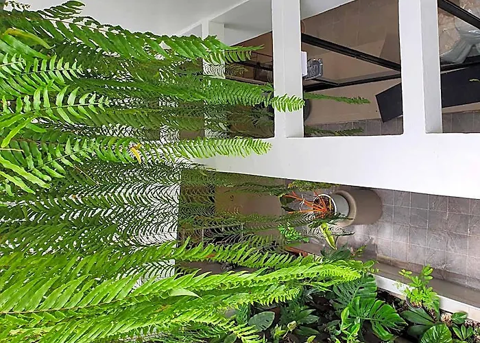 Roompini فندق مبيت وإفطار 3*