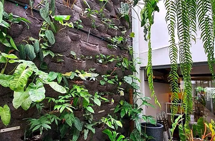 Acomodação com café da manhã  Roompini